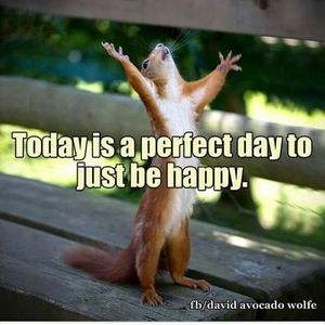 Meet your Posher, Cheri